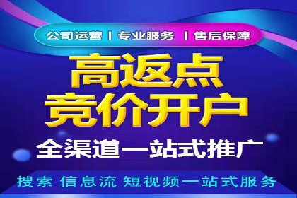 百度推广平台在电商行业的应用成功案例